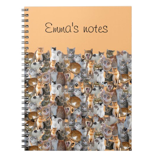 Carnet Point de rencontre des chats - mignon (Devant)