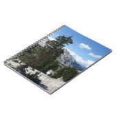 Carnet Point III d'Olmsted dans le parc national Yosemite (Côté gauche)