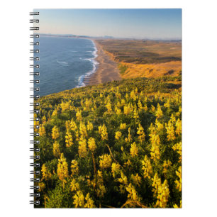 Carnet Point Reyes National Seashore Californie