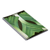 Carnet Poireaux 2014 (Côté Droit)