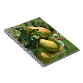 Carnet Poires Fruit (ma photographie) (Côté Droit)