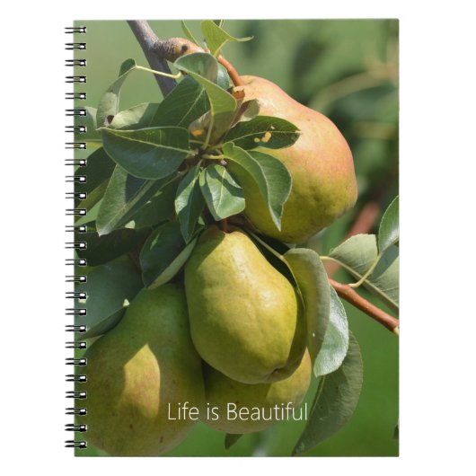 Carnet Poires Fruit (ma photographie) (Devant)