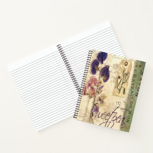 Carnet Pois de senteur vintage (Intérieur)
