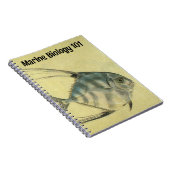 Carnet Poisson Alectis indicus, Carangue à trois épines v (Côté Droit)