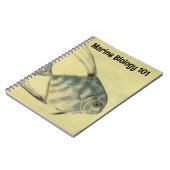 Carnet Poisson Alectis indicus, Carangue à trois épines v (Côté gauche)