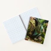 Carnet Poisson-ange altum rayé (Intérieur)