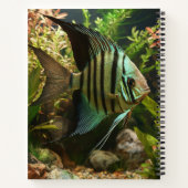 Carnet Poisson-ange altum rayé (Dos)