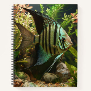 Carnet Poisson-ange altum rayé