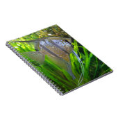 Carnet Poisson Angel (Côté Droit)