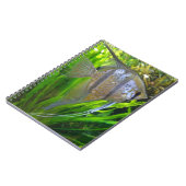 Carnet Poisson Angel (Côté gauche)