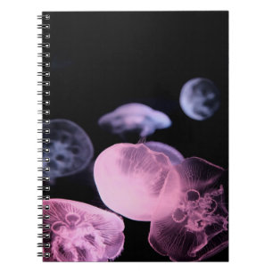 CARNET POISSON BLANC DANS L'EAU AVEC ARRIÈRE - PLAN NOIR