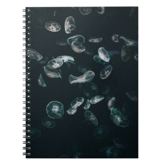 CARNET POISSON BLANC ET NOIR SUR L'EAU (Devant)