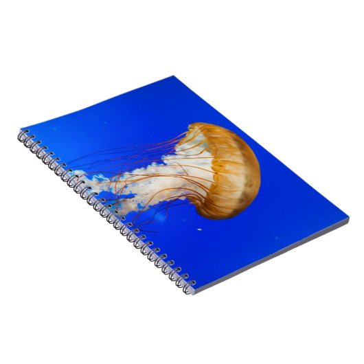 CARNET POISSON BROWN (Côté Droit)