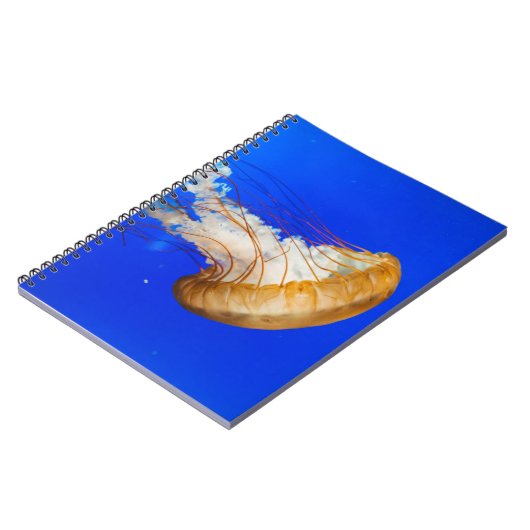 CARNET POISSON BROWN (Côté gauche)