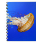 CARNET POISSON BROWN (Devant)