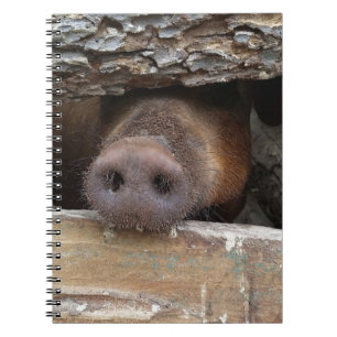 Carnet Poisson Brown de cochon Nez à travers la clôture r