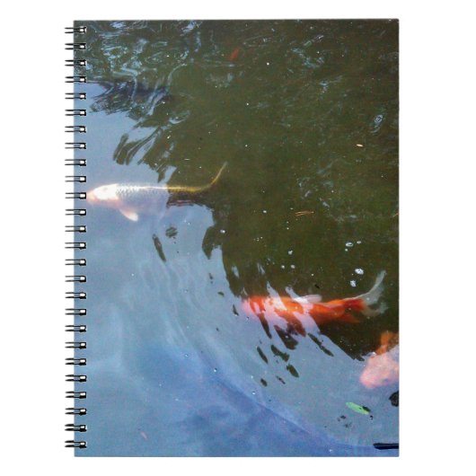Carnet Poisson, carpes de Koi dans l'étang (Devant)