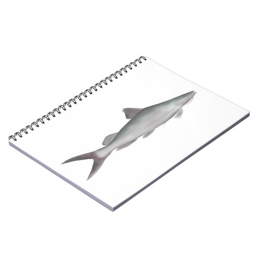 Carnet Poisson-chat géant (Côté gauche)
