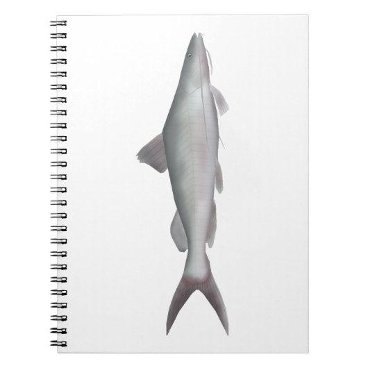 Carnet Poisson-chat géant (Devant)