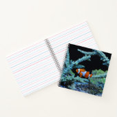 Carnet Poisson clown en corail (Intérieur)