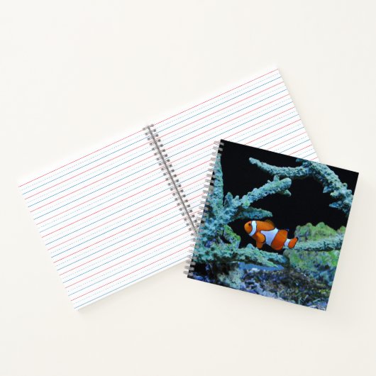 Carnet Poisson clown en corail (Intérieur)