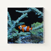 Carnet Poisson clown en corail (Dos)