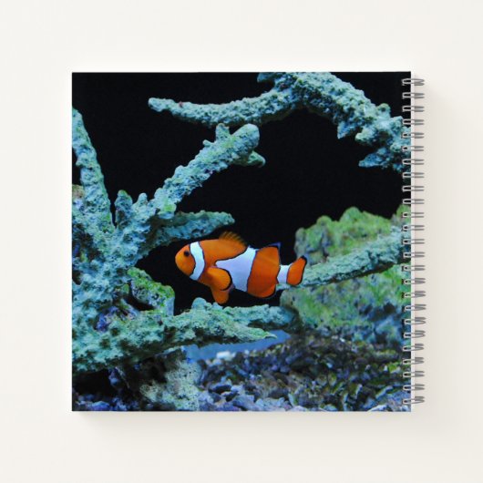 Carnet Poisson clown en corail (Dos)