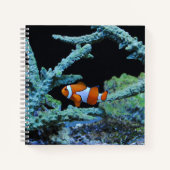 Carnet Poisson clown en corail (Devant)