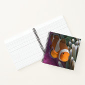 Carnet Poisson clown occidental (Intérieur)
