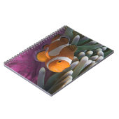 Carnet Poisson d'anémone clown occidental (Côté gauche)