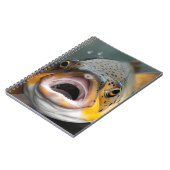 Carnet Poisson de truite arc-en-ciel (Côté gauche)