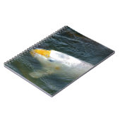 Carnet Poisson D'Or Dans Le Lac (Côté gauche)