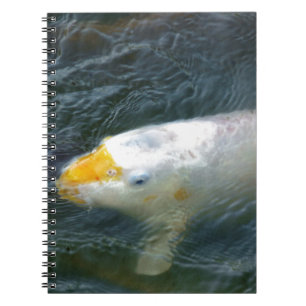 Carnet Poisson D'Or Dans Le Lac