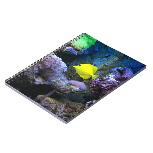 Carnet Poisson jaune (Côté gauche)