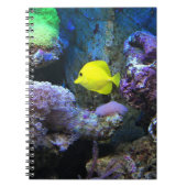 Carnet Poisson jaune (Devant)