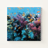 Carnet Poisson orange tropical et corail rose (Dos)
