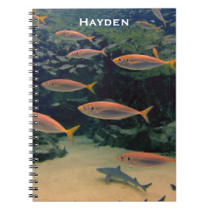 Carnet Poisson rose Shoale sous l'eau Photo personnalisée