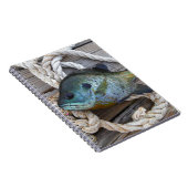 Carnet Poisson rouge sur quai et corde (Côté Droit)