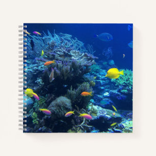 Carnet Poisson Tropical Jaune Photo Sous L'Eau