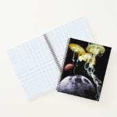 Carnet Poissons de l'espace (Intérieur)