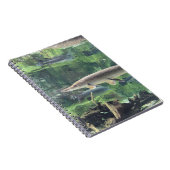 Carnet Poissons de Pike (Côté Droit)