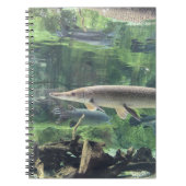 Carnet Poissons de Pike (Devant)