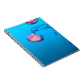 CARNET POISSONS JELLY SOUS L'EAU (Côté Droit)