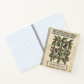 Carnet Poivre à queue: Cubèbe médiéval botanique (Intérieur)