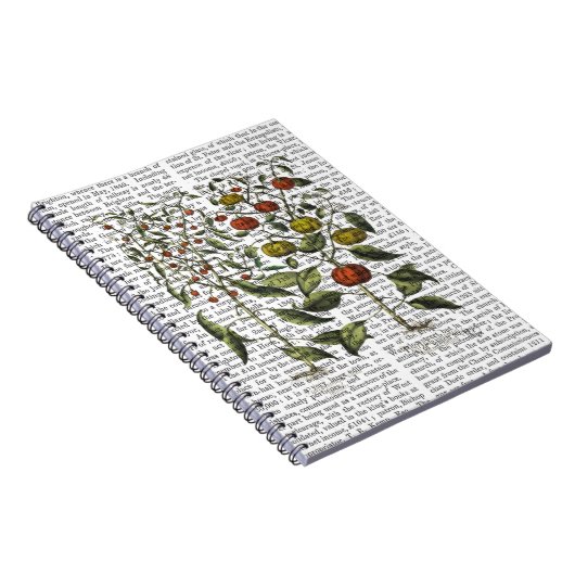 Carnet Poivrons 4 (Côté Droit)