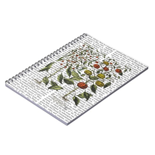 Carnet Poivrons 4 (Côté gauche)