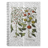 Carnet Poivrons 4 (Devant)