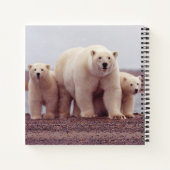 Carnet Polar Bear Mother and Cubs Photo (Dos)