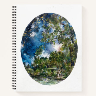 Carnet Polarité de la psyché