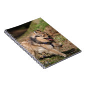 Carnet Pomeranian fonctionnant avec le harnais dessus (Côté Droit)